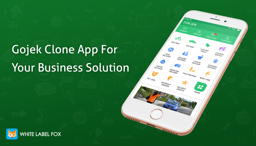 gojek clone app for business startup