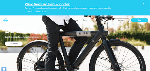 Bird