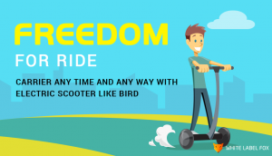 Docless Electric Scooter