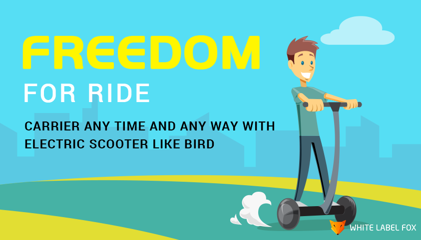 Docless Electric Scooter