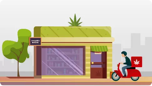 marijuana About us vector