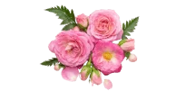 Delivery anything - flower delivery icon