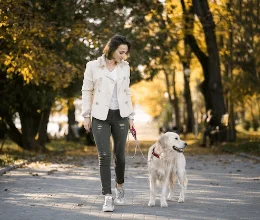dog walking