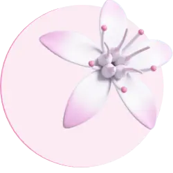 Flower Delivery