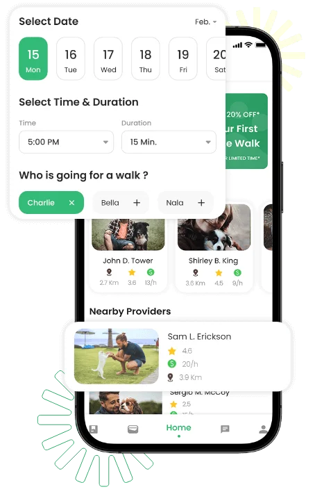 dog-walking-main-slider-mockup-with-changes