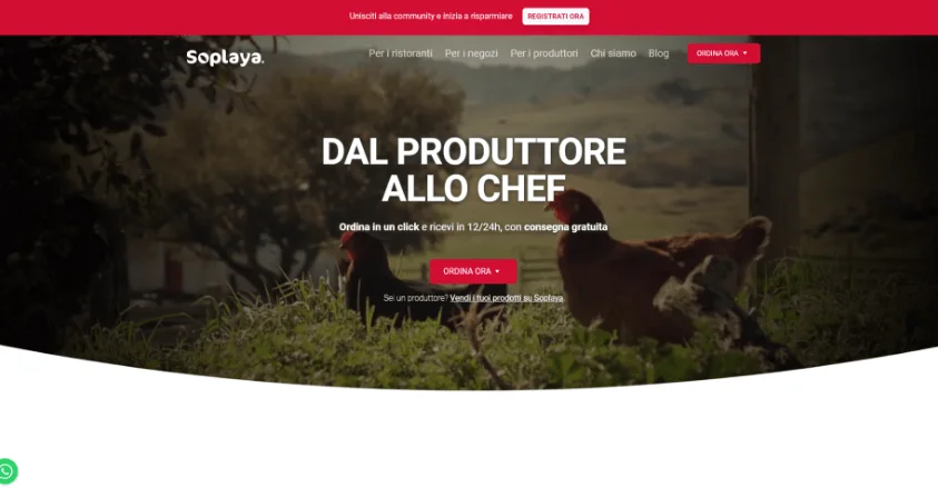 Soplaya Grocery Delivery App